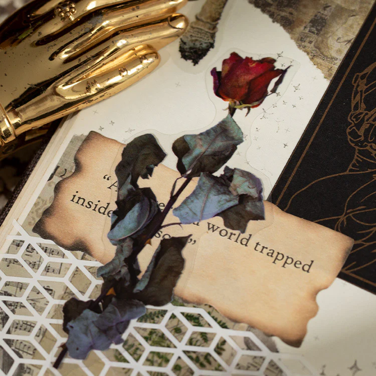 Thumbnail 9